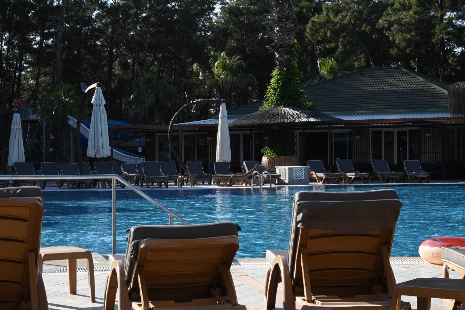 greenforest-pool (2)