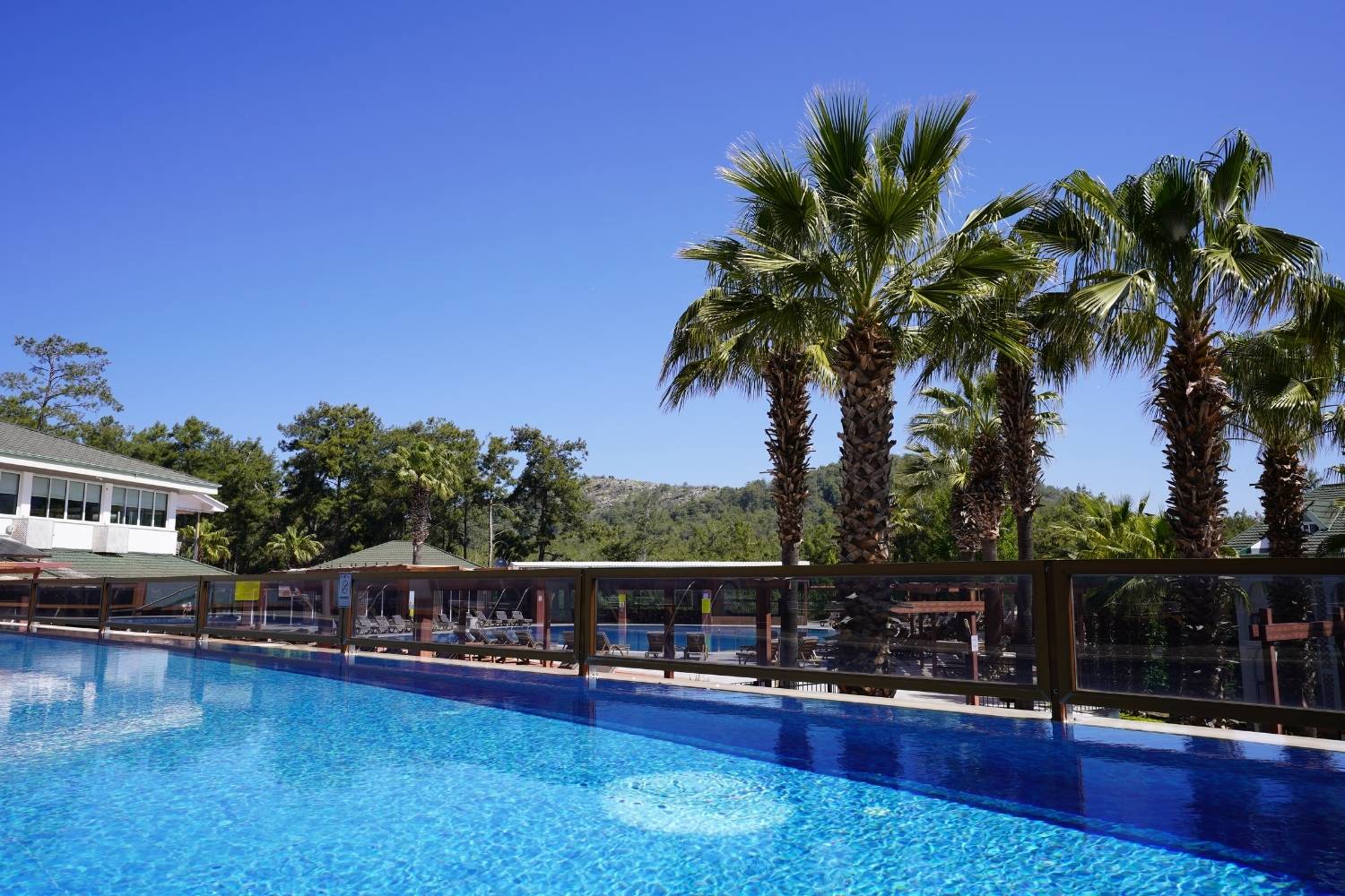greenforest-pool (3)