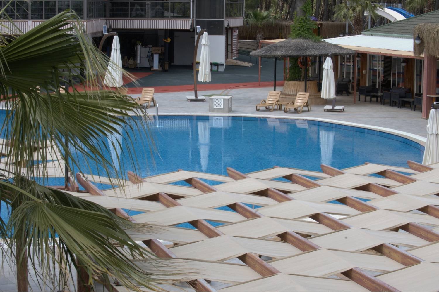 greenforest-pool (9)